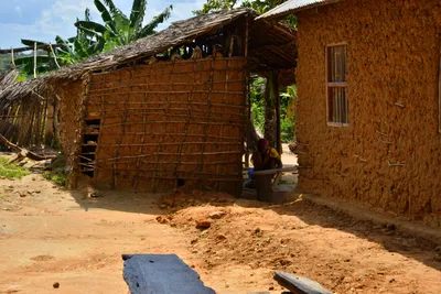 DSC_5374 (Large).JPG